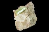Yellow-Green Fluorapatite Crystal in Calcite - Ontario, Canada #137110-2